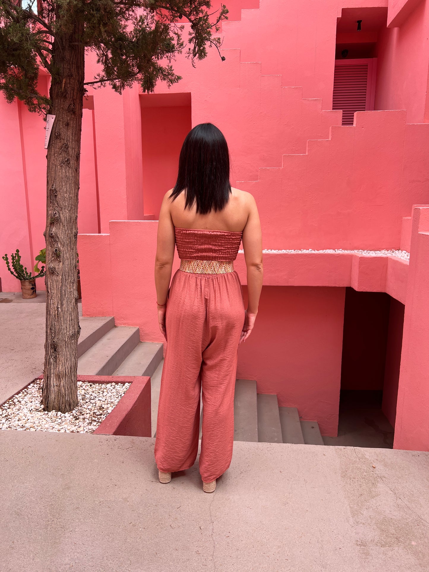 Mono Nerea